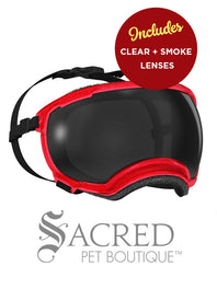 A black and white border collie dog wearing blue Rex Specs goggles is seen running in long dry grass. The goggles feature a green mirrored lens. The image has a white Sacred Pet Boutique watermark. 