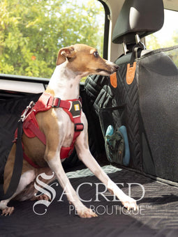 Rossi, the Italian Greyhound, sits in the back seat of an SUV. The Rigid Base Car Seat hammock protects the seats and doors, without letting him fall into the foot well. Mesh pockets provide storage. A mesh barrier between the front seats allows vision both ways. Easy to clean comfortable water proof fabric is durable. Holes for a car seat belt attachment keep him safe and restrained.