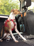 Rossi, the Italian Greyhound, sits in the back seat of an SUV. The Rigid Base Car Seat hammock protects the seats and doors, without letting him fall into the foot well. Mesh pockets provide storage. A mesh barrier between the front seats allows vision both ways. Easy to clean comfortable water proof fabric is durable. Holes for a car seat belt attachment keep him safe and restrained.