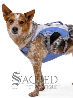 Swamp Cooler Dog Cooling Harness