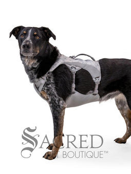 Swamp Cooler Dog Cooling Harness