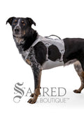 Swamp Cooler Dog Cooling Harness