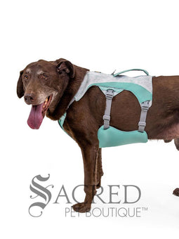 Swamp Cooler Dog Cooling Harness
