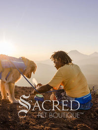 Trail Runner Running Belt