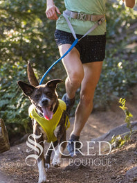 Trail Runner Running Belt