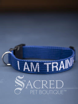 A group of dog collars and leashes with embroidered safety messages in white or black. On a grey background with a Sacred Peet Boutique watermark.