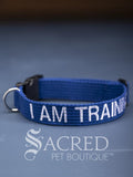 A blue dog collar with embroidered safety message "I am training" in white. With a steel D-ring and black plastic side release clip. On a grey background with a Sacred Peet Boutique watermark.