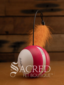 The Roll-o Tumbling Ball