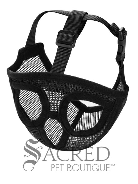 Short Snout Dog Muzzle