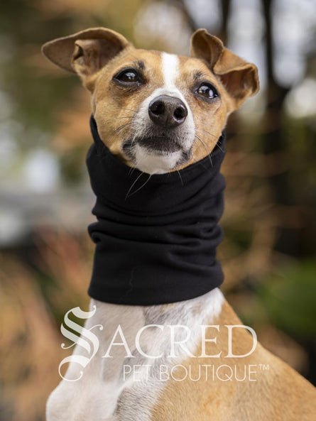 An Italian Greyhound dog wearing a black neck warmer or pet cowl, photographed outdoors with a blurred natural background. A 'Sacred Pet Boutique' watermark is visible at the bottom.