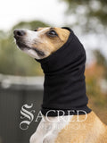 An Italian Greyhound dog wearing a black snood hood as ear protection, shown in profile against a blurred outdoor background. A 'Sacred Pet Boutique' watermark is visible at the bottom.