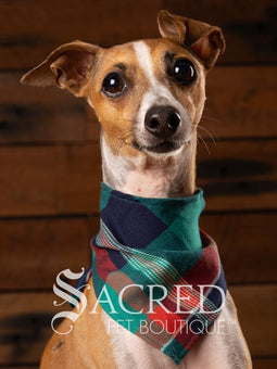 Italian greyhound dog wearing a purple poppy patterned ANZAC memorial bandana with 'Sacred Pet Boutique' watermark.