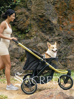 A woman in black athletic wear pushes a black pet stroller with green frame and wheel trim, in an outdoor urban setting. The stroller canopy has the brand name 'Ibiyaya' visible on the side. A white watermark from "Sacred Pet Boutique".
