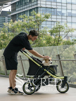 A woman in black athletic wear pushes a black pet stroller with green frame and wheel trim, in an outdoor urban setting. The stroller canopy has the brand name 'Ibiyaya' visible on the side. A white watermark from "Sacred Pet Boutique".