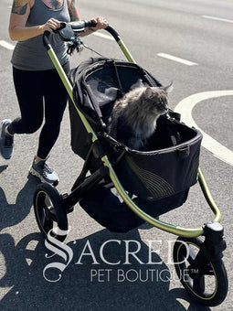 A woman in black athletic wear pushes a black pet stroller with green frame and wheel trim, in an outdoor urban setting. The stroller canopy has the brand name 'Ibiyaya' visible on the side. A white watermark from "Sacred Pet Boutique".