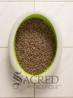 A beautiful white chinchilla persian cat is shown using a dark pink Vicci litter tray in a white room on a white tiled floor.