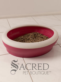 A beautiful white chinchilla persian cat is shown using a dark pink Vicci litter tray in a white room on a white tiled floor.