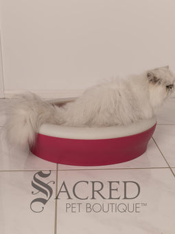 A beautiful white chinchilla persian cat is shown using a dark pink Vicci litter tray in a white room on a white tiled floor.