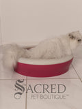 A beautiful white chinchilla persian cat is shown using a dark pink Vicci litter tray in a white room on a white tiled floor.