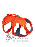 A blaze orange dog harness with dark grey padded interior and reflective trim, shown on a white background with the Sacred Pet Boutique logo at the bottom.