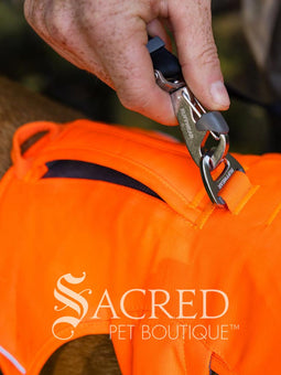 A brown and white dog walking on a forest path wearing a bright blaze orange harness with a blue leash attached. A 'Sacred Pet Boutique' watermark is visible at the bottom.
