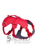 A Canyon Red dog harness with grey mesh padding and adjustable straps, shown on a plain white background with a 'Sacred Pet Boutique' watermark at the bottom.