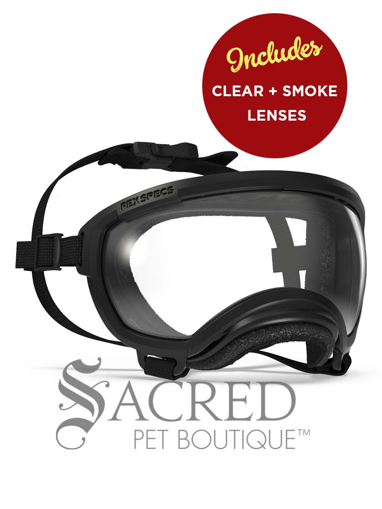 rex specs v2 dog goggles Rex Specs V2