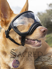 A dog in a beach setting is wearing black Rex Specs goggles with a blue mirror lens. In the reflection of the lenses you can see the sky and people. There is a grey sacred Pet Boutique watermark. 