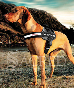 <iframe width="560" height="315" src="https://www.youtube.com/embed/AUntLepa7mg?list=PLGrIA7hUvVDlW1cnv6NmT8U7sSn55OQnw" frameborder="0" allowfullscreen></iframe>