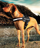 <iframe width="560" height="315" src="https://www.youtube.com/embed/AUntLepa7mg?list=PLGrIA7hUvVDlW1cnv6NmT8U7sSn55OQnw" frameborder="0" allowfullscreen></iframe>