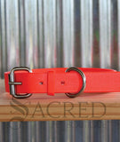 A orange biothane collar with stainless steel hardware thats buckled and lying a wooden shelf with a corrugated background. With a grey Sacred Pet Boutique watermark.