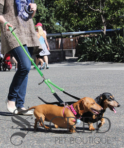 <iframe width="420" height="315" src="https://www.youtube.com/embed/oNE8phL1d60" frameborder="0" allowfullscreen></iframe>