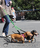 <iframe width="420" height="315" src="https://www.youtube.com/embed/oNE8phL1d60" frameborder="0" allowfullscreen></iframe>