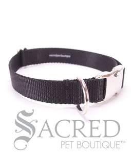 Everyday Dog Collar