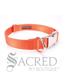 Everyday Dog Collar