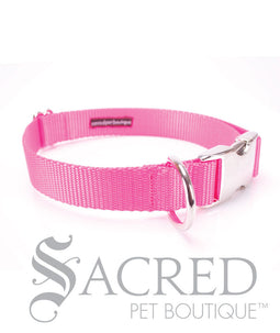 Everyday Dog Collar