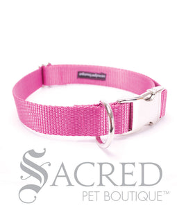 Everyday Dog Collar