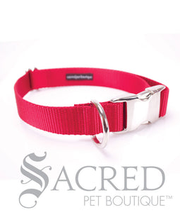 Everyday Dog Collar