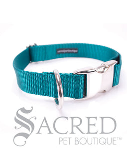 Everyday Dog Collar