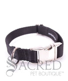 Everyday Dog Collar