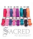 Everyday Clip Martingale Dog Collar