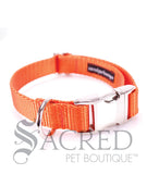 Everyday Dog Collar