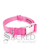 Everyday Dog Collar
