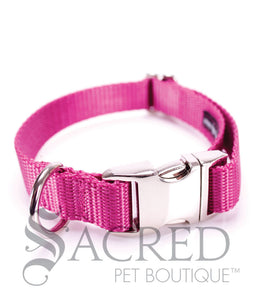 Everyday Dog Collar