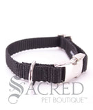 Everyday Dog Collar