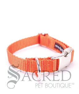 Everyday Dog Collar