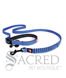 Road Runner Leash