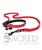 Road Runner Leash