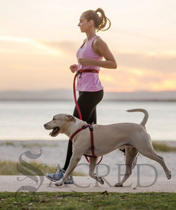 <iframe width="560" height="315" src="https://www.youtube.com/embed/YrCgiwQW2CI" frameborder="0" allowfullscreen></iframe>