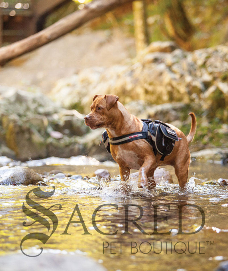 Idc Julius K9 Saddlebags Ezydog Convert Dog Harness Saddle